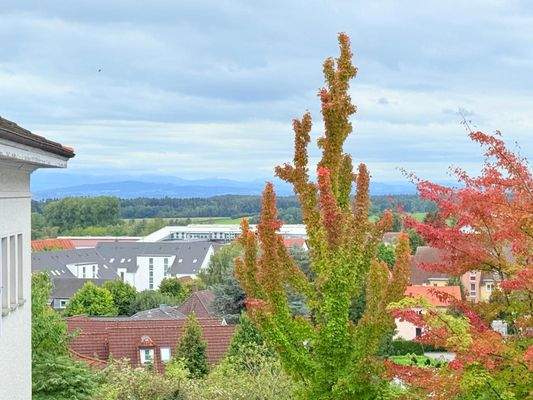 WhatsApp Image 2025-09-17 at 16.45.45 (2).jpeg