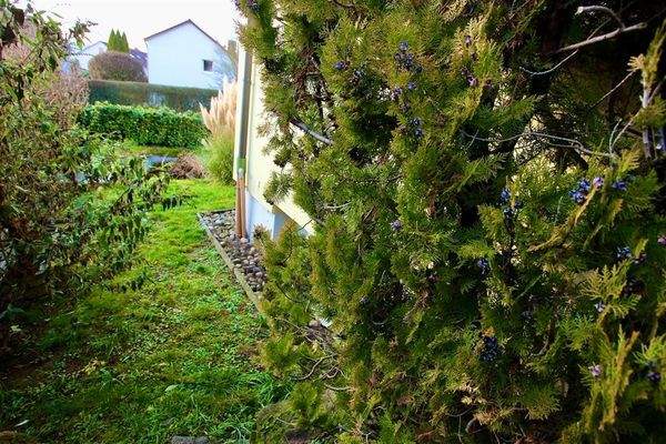 Blick in den unteren Gartenbereich