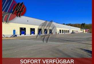 INFOS UNTER: 06171-586000