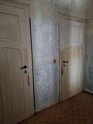 OG historische Innentüren