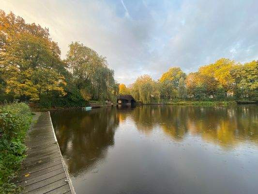 Umgebung Ratsmühlenteich