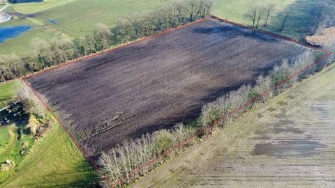 Velen Bauernhöfe, Landwirtschaft, Velen Forstwirtschaft