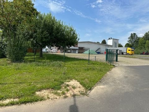 Wollbrandshausen Halle, Wollbrandshausen Hallenfläche