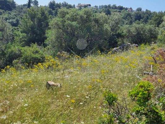 Drei Wohlfühl-Oasen können hier bald stehen