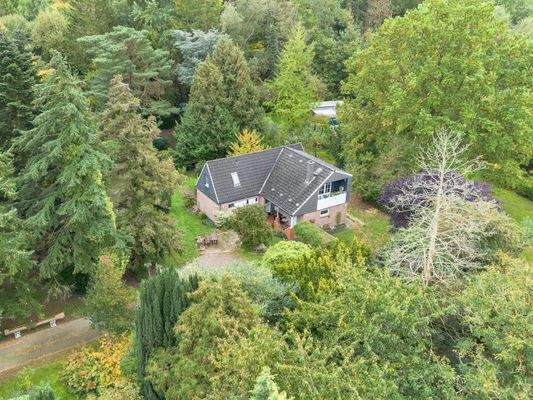 Eingewachsenes Grundstück