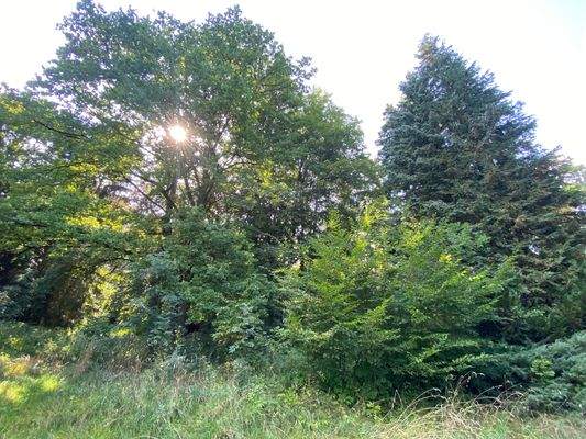 Schlosspark (11).JPG