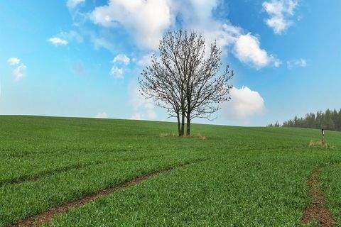 Geising / Löwenhain Grundstücke, Geising / Löwenhain Grundstück kaufen