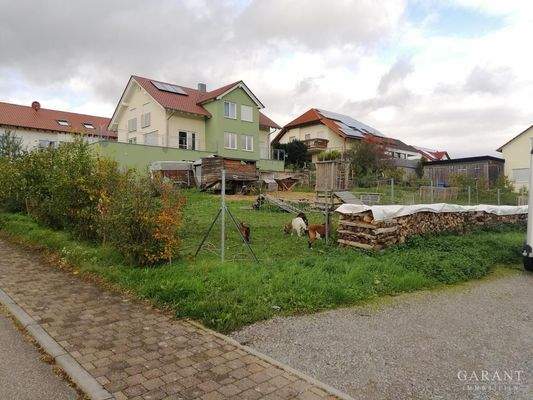 Grundstück Cleebronn