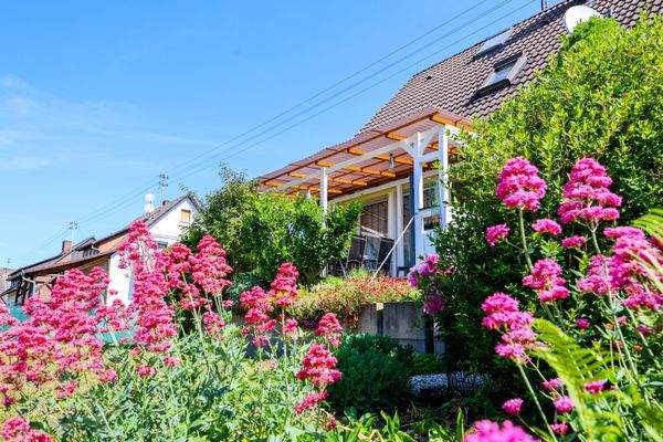 Außenansicht - Terrasse