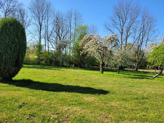 Es grünt so grün...