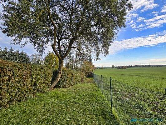 Hintere Grundstücksgrenze