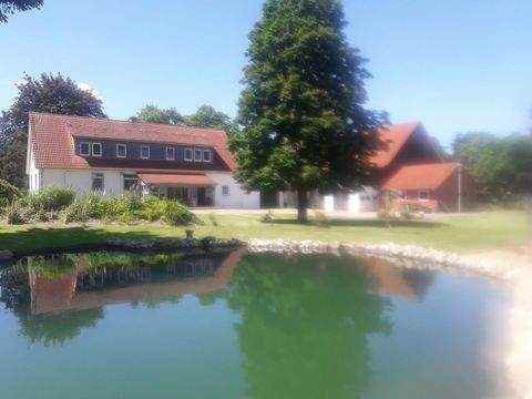 Buchholz (Aller) Häuser, Buchholz (Aller) Haus kaufen