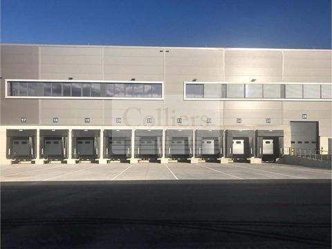 Laatzen Halle, Laatzen Hallenfläche