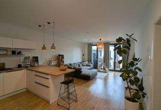 Wohnzimmer mit Küche