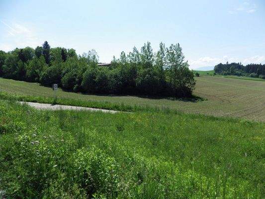 Blick Richtung Süd-Osten