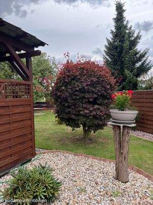 Garten Blick zur Straße