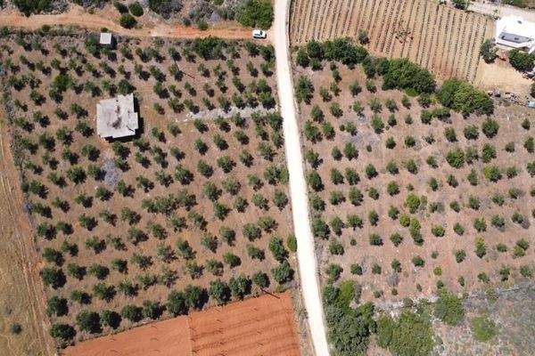 Kreta, Mouzouras: Flaches Grundstück mit Panoramablick zu verkaufen