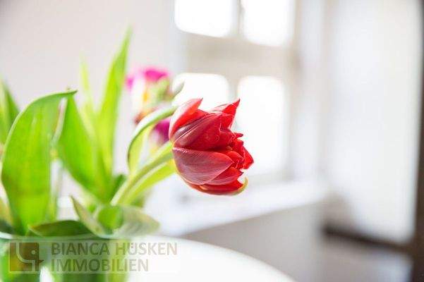 Visualisiert: So könnte es aussehen Lassen Sie das Fachwerk hell erstrahlen