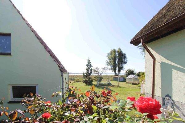 Blick Eingangsbereich auf Garten