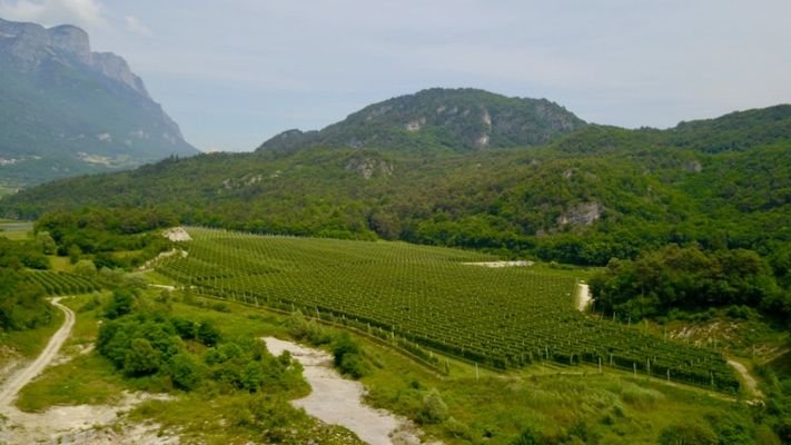 Obstbau-Apfelplantagen-Apfel-Trient-Haus-Kubatur-Bauen-Garage-Geräteschuppen-Frutticoltura-mela-frutteto-mela-Trento-casa-cubatura-edificio-garage-attrezzature-capannone