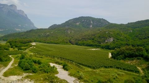 Trient Bauernhöfe, Landwirtschaft, Trient Forstwirtschaft