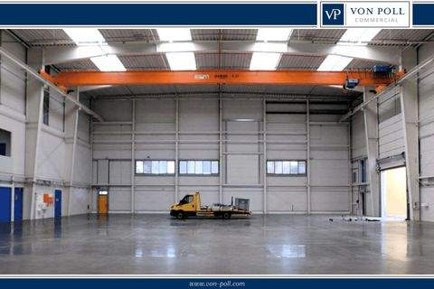 Arnstadt Halle, Arnstadt Hallenfläche