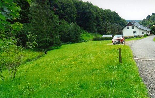 Waldwiesengrundstücke in der Talstraße