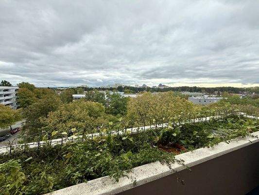 Aussicht vom Balkon
