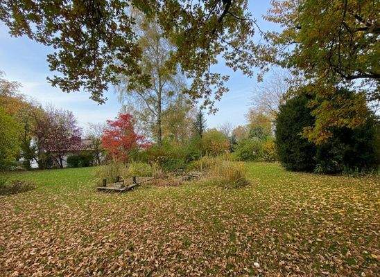 Grundstück - Blick Richtung Westen