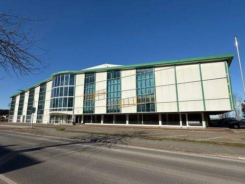 Holm Halle, Holm Hallenfläche