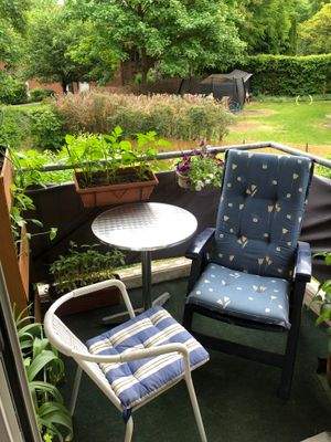 Blick ins Grüne.jpeg