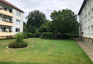 WhatsApp Bild 2024-08-17 um 18.38.25_5d80d952.jpg