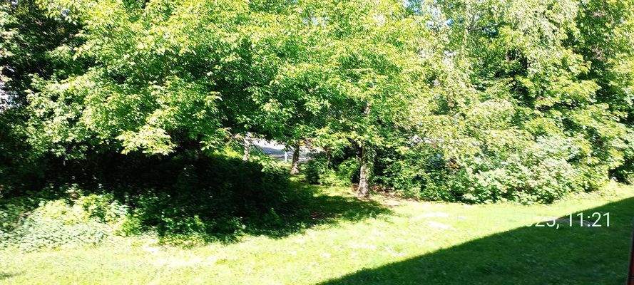 Blick aus Wohnzimmer