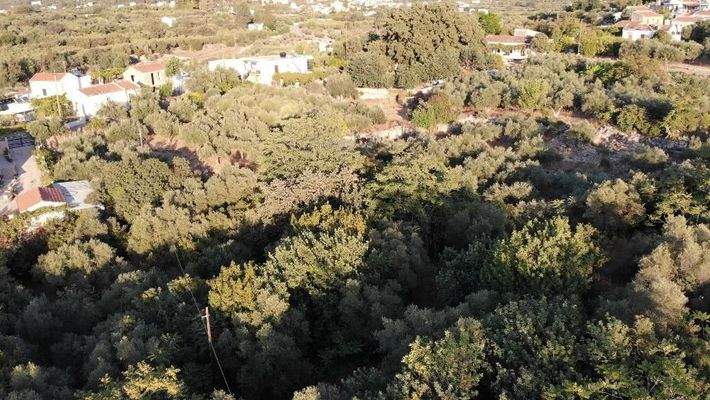 Kreta, Neo Chorio: Charmantes Baugrundstück mit Olivenbäumen und Panoramablick im Apokoronas zu verkaufen
