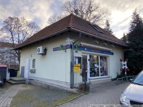 Dresden Ladenlokale, Ladenflächen 