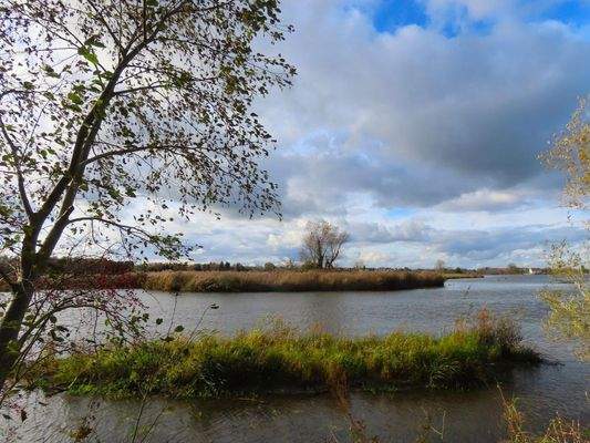 Günzstausee zwischen Ellzee und Waldstetten 