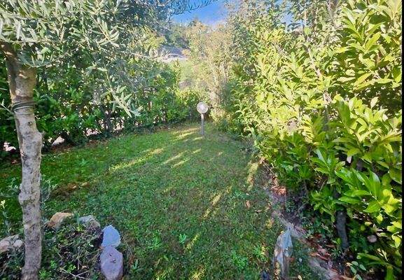 Schermata 2024-11-25 alle 16.59.20.jpg