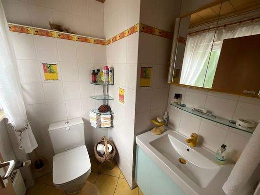 Gäste-WC Hauptwohnung