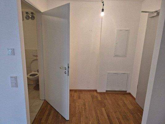 Eingangsbereich/ Diele