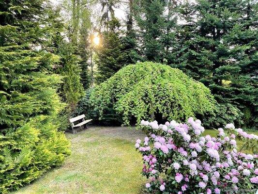 Lauschiges Plätzchen bei Sonnenaufgang