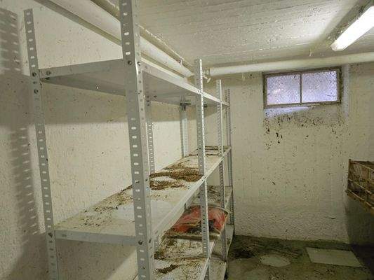 PHOTO-2025-09-13-12-29-13 3.jpg