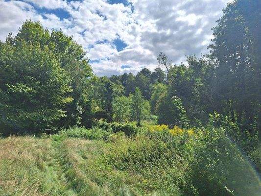 Blick Richtung Naturschutzgebiet