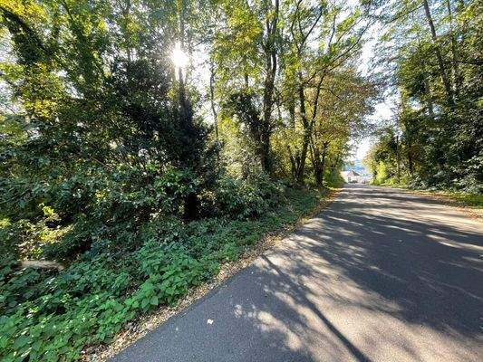 Eller Weg, Blick Richtung Weinberggrundstück