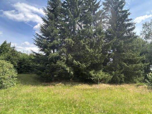 Idyllischer Ausblick