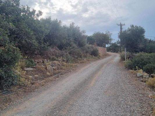 Kreta, Agios Nikolaos: Grundstück mit Meerblick zu verkaufen
