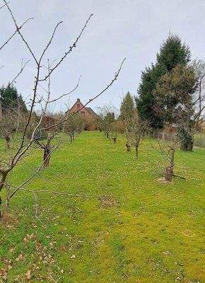 vom Grundstüksende aus