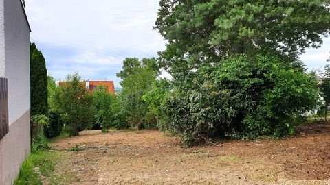 Leinfelden-Echterdingen Häuser, Leinfelden-Echterdingen Haus kaufen