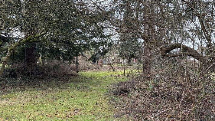 Blick vom Garten zum Haus