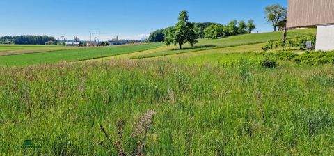 Moosdorf Grundstücke, Moosdorf Grundstück kaufen