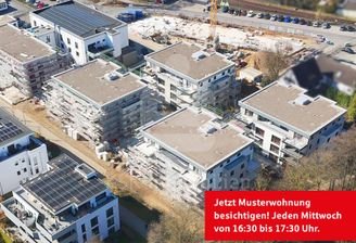 Draufsicht